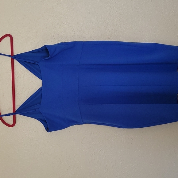 Express Dress - Picture 3 of 3